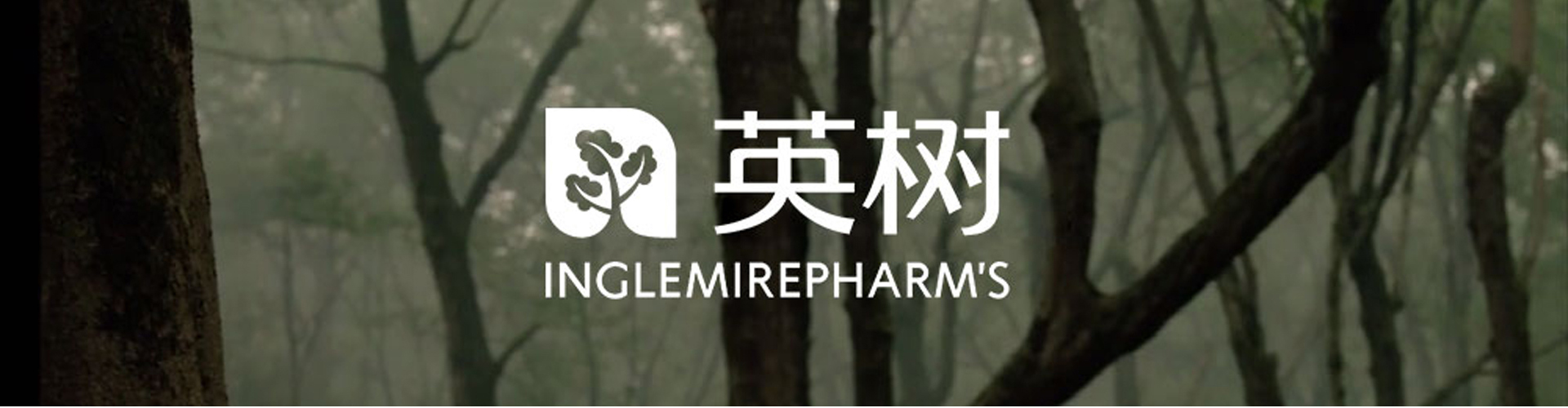 英樹(shù)