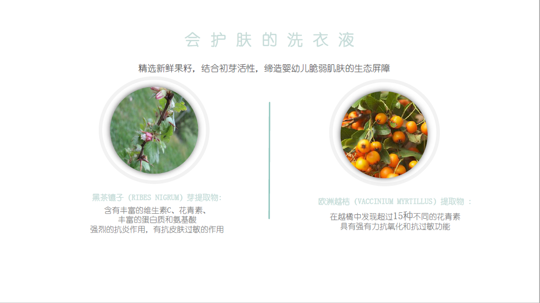會護膚的洗衣液主要成分介紹